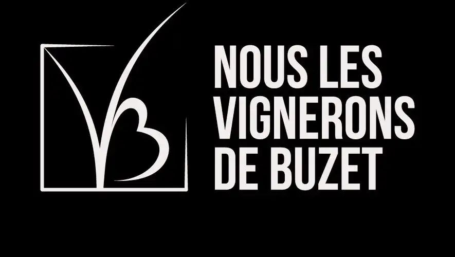 Logo BUZ - Client Studio Infolio Agen