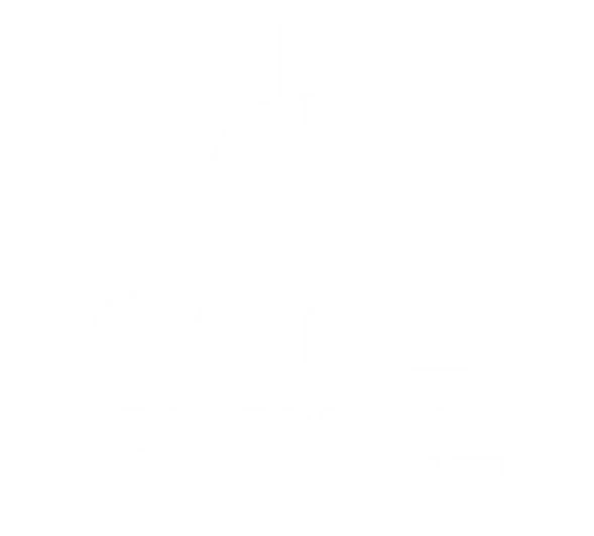 Logo CNE - Client Studio Infolio Agen